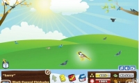 BIRD SANCTUARY
