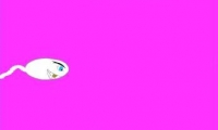 Sperm Game 2