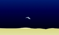 Dolphin Olympics