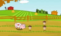 Pig Race