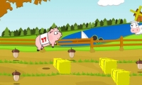 Pig Race