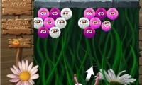 Woobies 