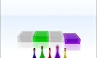 Memory Test