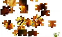 Soccer puzzle jigsaw