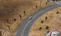 Race Cars