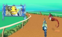 Shark Tale Race