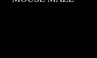 Mouse Maze