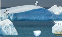 Polar Bear Crossing