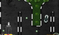 Reverse Parking