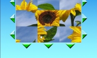 Puzzle Axis