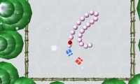Winter Worm