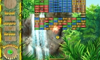 Monkey's friends