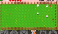 Bunny Bunny Boom