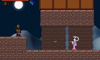 The Lone Ninja