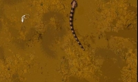 The Python