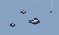 Radical Fishing