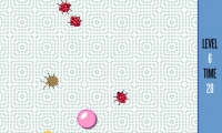 Bugs Are Coming