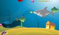 Fish Crunch