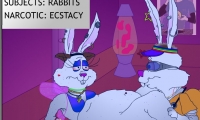 Rats on Cocaine 5