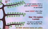 Leaf Blight