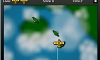 Critter Capture