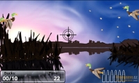 Shoot The Ducks