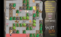 Short Path Puzzle