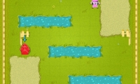Crazy Cow