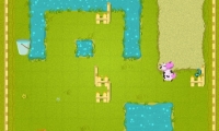 Crazy Cow