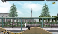 Skateboard City