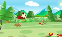 Run Chicken Run