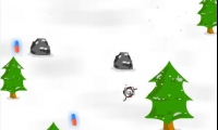 Ski Runner