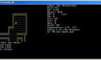 Dungeon Crawl