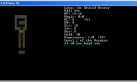 Dungeon Crawl