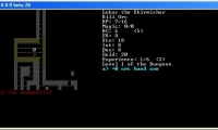 Dungeon Crawl