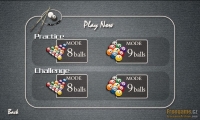 Pool Master Pro
