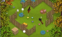 Mushroom Madness
