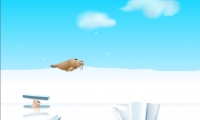 Ice Slide