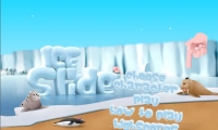 Ice Slide