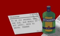 Becherův pohár 1976