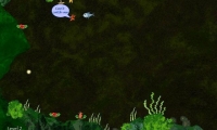 Life of a Fish