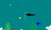 Life of a Fish