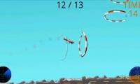 Flying High