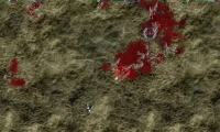 Aliens on Earth