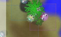 Cultivation