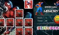Spiderman Memory