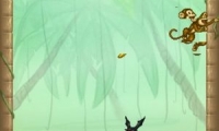 Monkey Jump