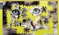 Puzzle Closeup Kitty
