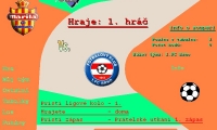 FS 2007