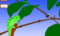 Chameleon at Hunt